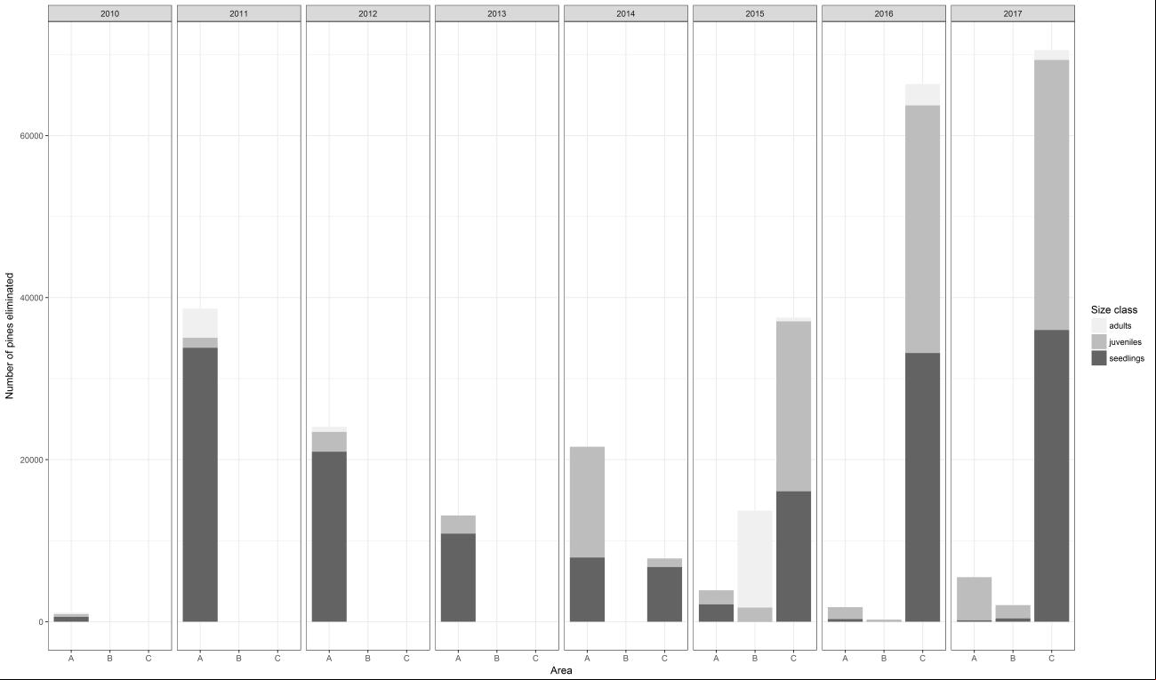 Número total de pínus eliminados entre os anos de 2010 e 2017 no Parque Natural Municipal das Dunas da Lagoa da Conceição (Florianopólis, Brasil). Classes de tamanho: adults=adultos, juveniles=jovens, seedlings=plântulas.